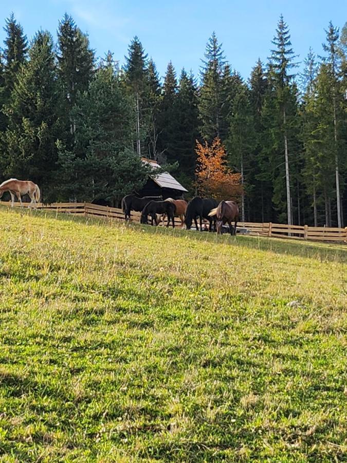 Apartamento Waldbienenhütte Diex Exterior foto